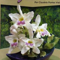 Orquídea de biscuit