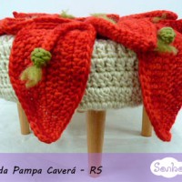 Artesanato Brasileiro: Crochê da Pampa Caverá – RS
